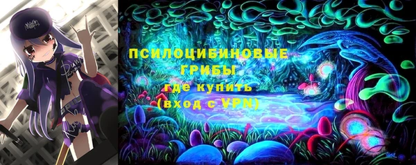 бошки Алзамай
