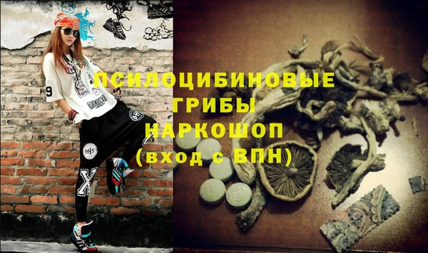 a pvp Алексеевка