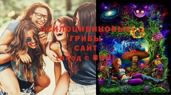 бошки Алзамай