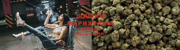 бошки Алзамай