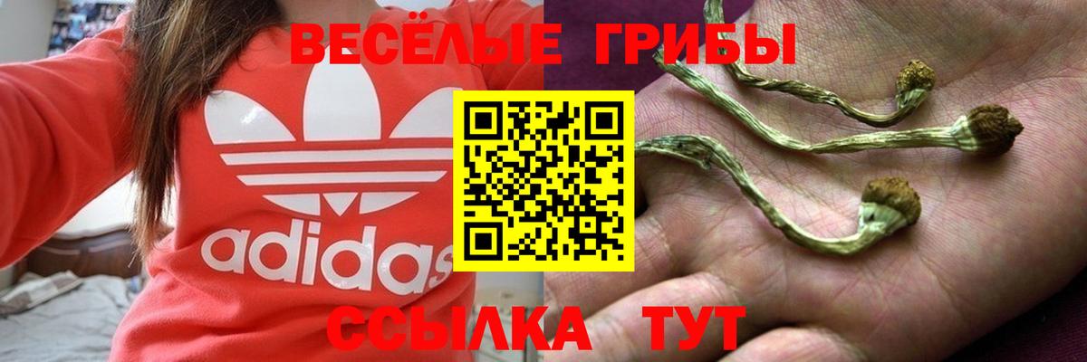 Псилоцибиновые грибы ЛСД Лесосибирск